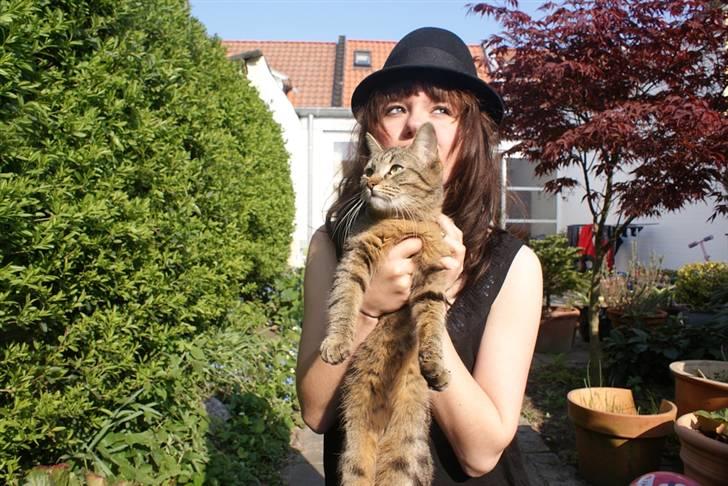 Blanding af racer Kelly - Kelly & jeg billede 9