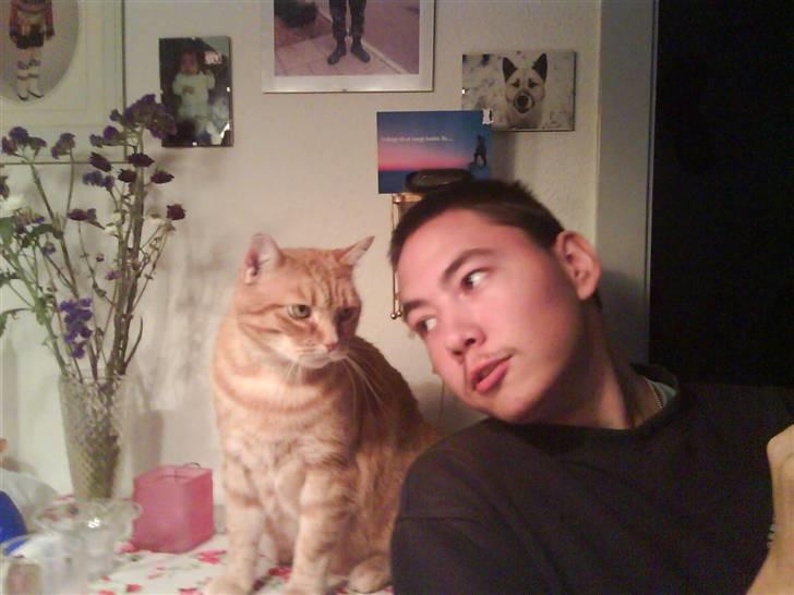 Huskat Mikkel billede 3