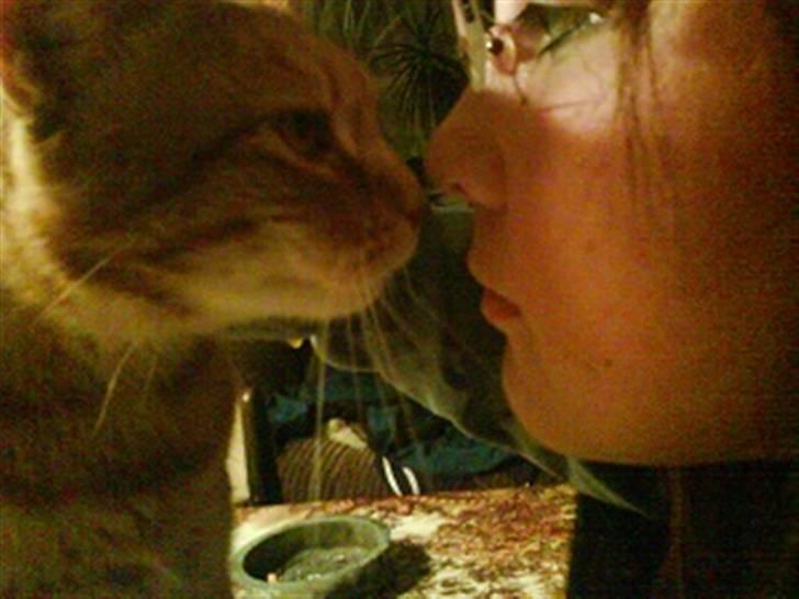 Huskat Mikkel billede 13