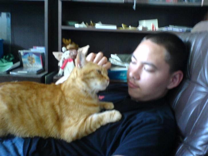 Huskat Mikkel billede 15