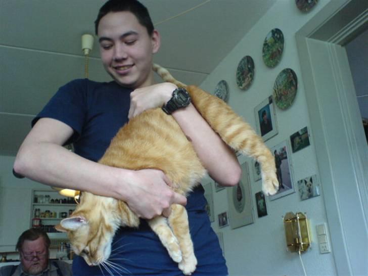 Huskat Mikkel billede 17