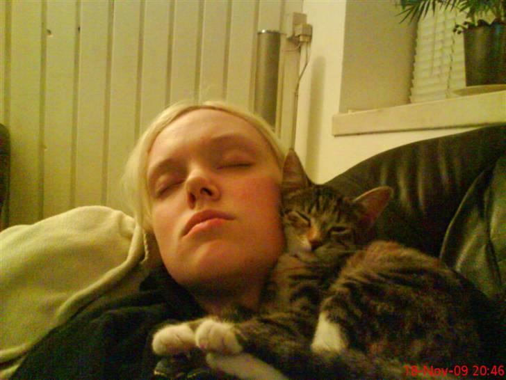 Huskat Mini - Vi er syge.. Vil bare gerne sove :-D billede 13