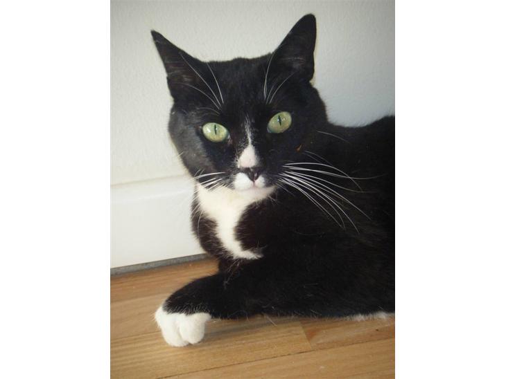 {{currentPhoto.altText}} billede {{currentPhoto.number}}