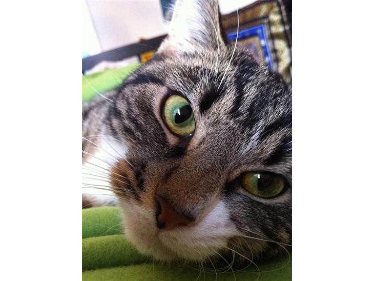 {{currentPhoto.altText}} billede {{currentPhoto.number}}