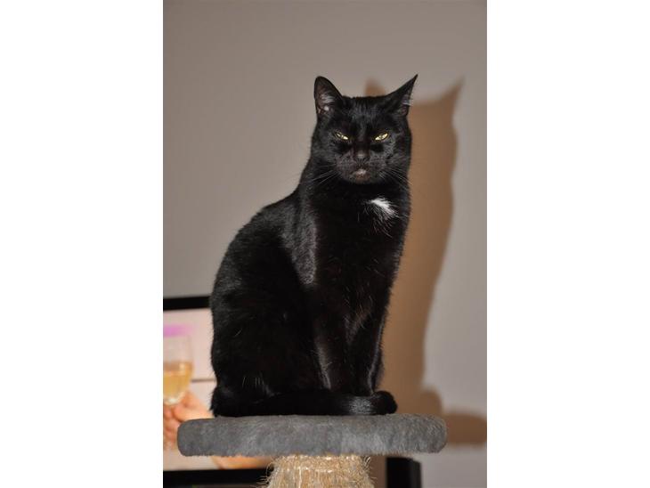 {{currentPhoto.altText}} billede {{currentPhoto.number}}