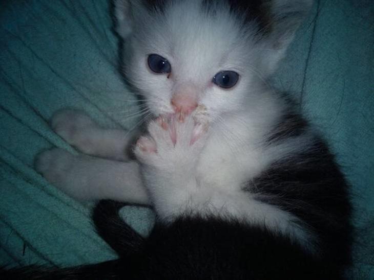 {{currentPhoto.altText}} billede {{currentPhoto.number}}