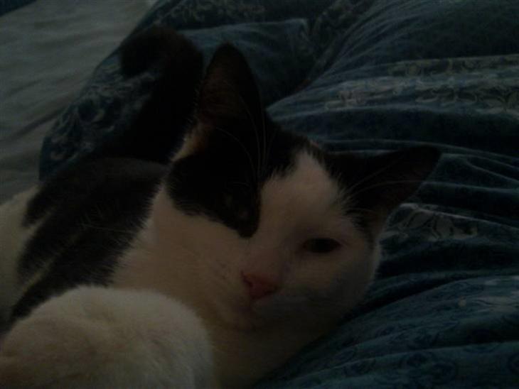 {{currentPhoto.altText}} billede {{currentPhoto.number}}