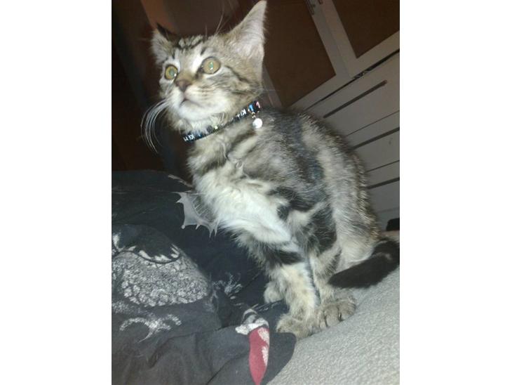 {{currentPhoto.altText}} billede {{currentPhoto.number}}