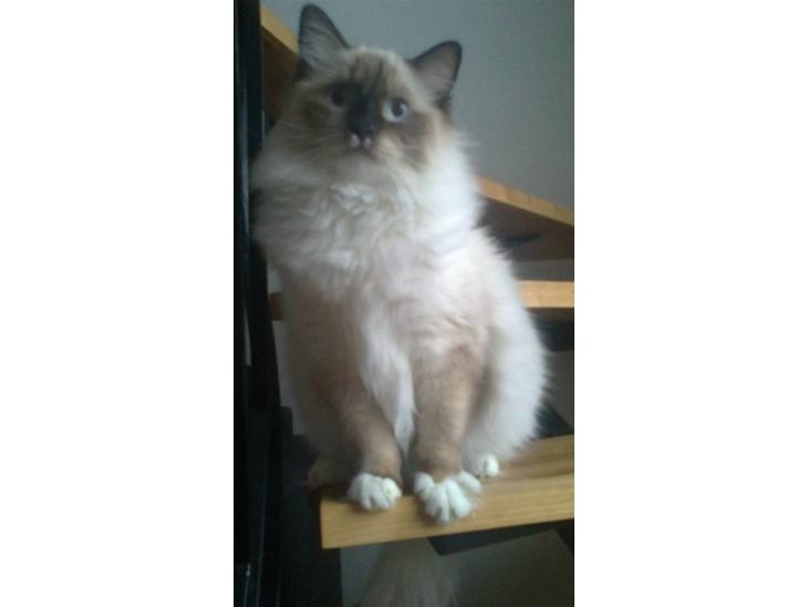 {{currentPhoto.altText}} billede {{currentPhoto.number}}