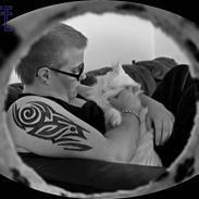 Norsk Skovkat Buum-Cats Gucci