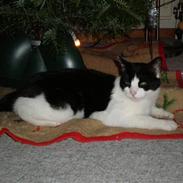 Huskat Nickia Mit et&alt