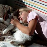 Blanding af racer Mister - Solgt :'(