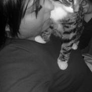 Huskat mis'mis, misse, missen