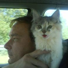 Blanding af racer Pusle Pii