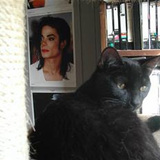 Europé FIN* Belagian Vihtori 