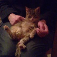 Huskat Lillemis :'( Savner dig!!!!  R.I.P :'(