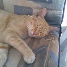 Huskat » Basse | R.I.P «