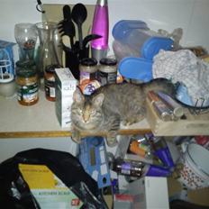 Blanding af racer pjuske 