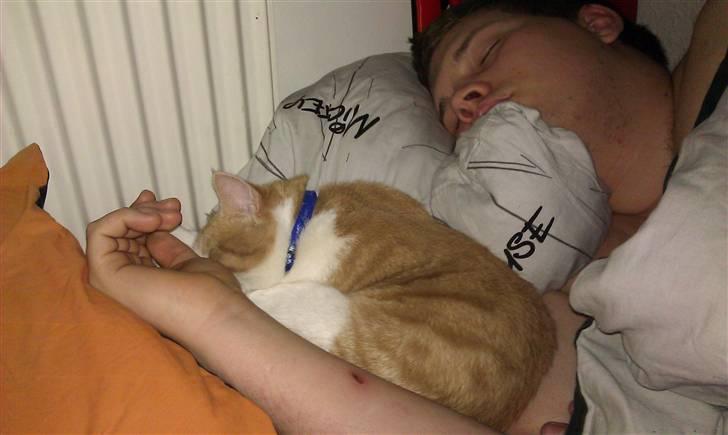 Huskat Spigo - Flyttet på en Gård <3 billede 8