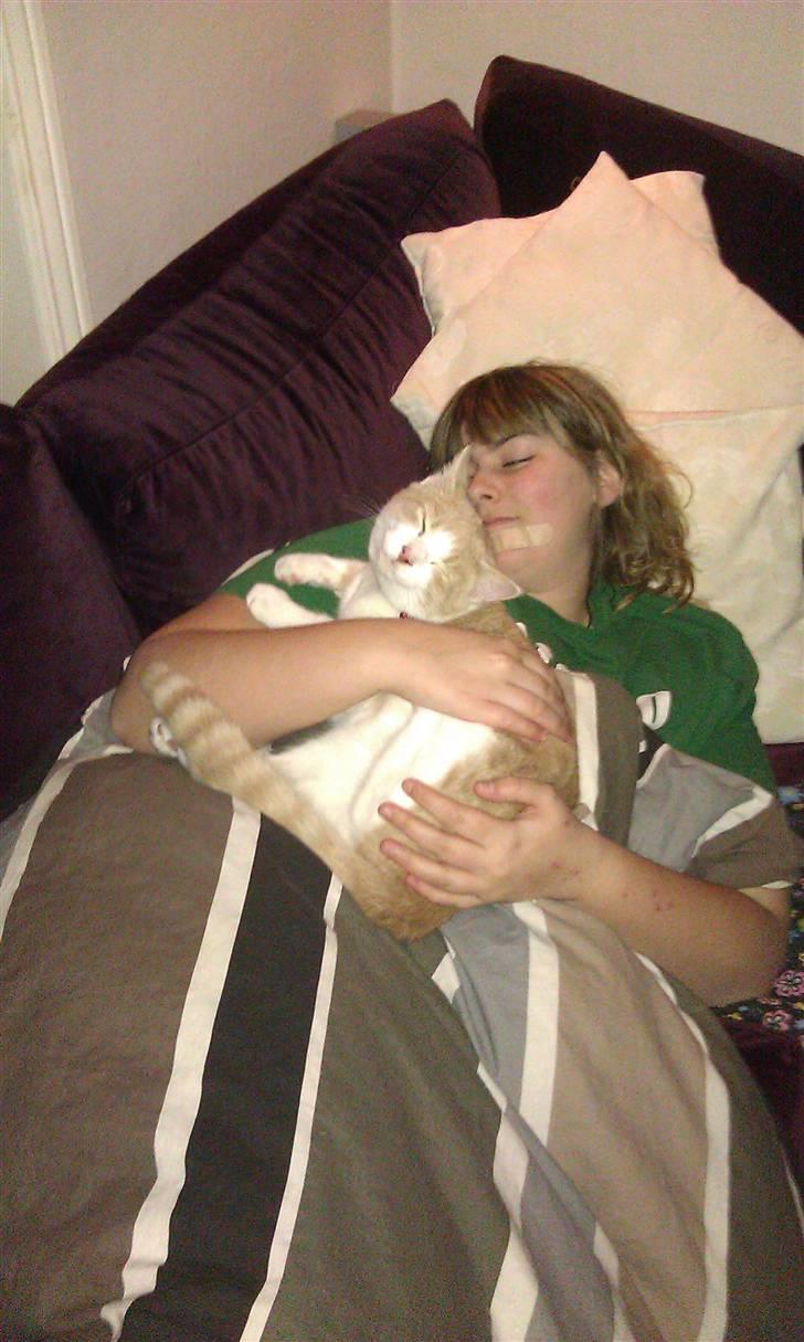 Huskat Spigo - Flyttet på en Gård <3 billede 11