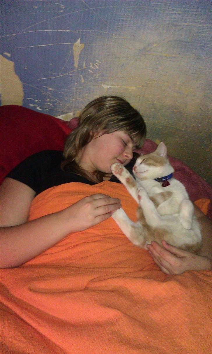 Huskat Spigo - Flyttet på en Gård <3 billede 13