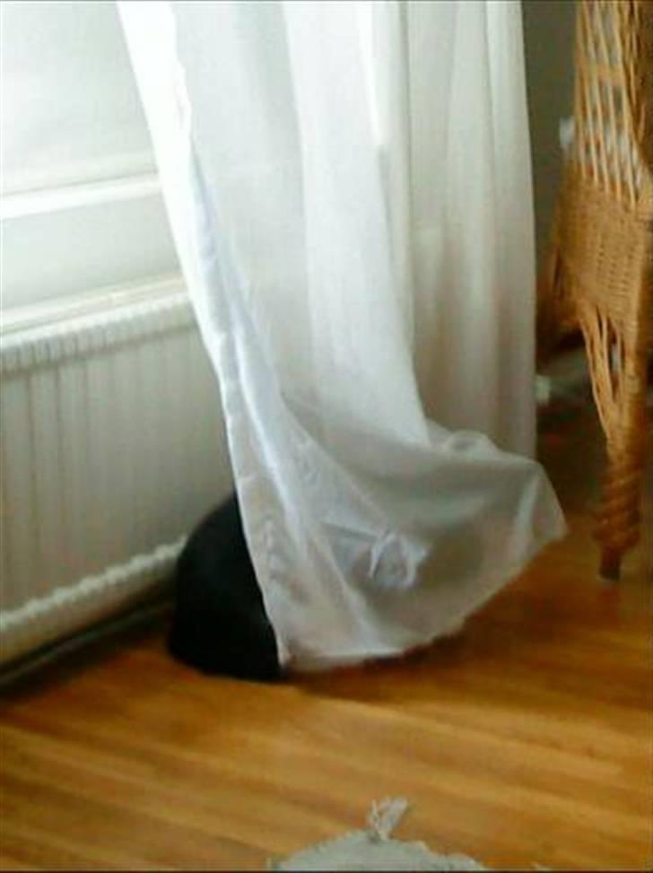 Huskat Nanna - Så er jeg væk :D billede 8