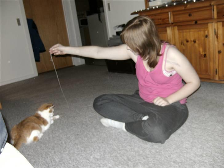 Huskat Bianca - her er jeg sammen med min ejer :D  billede 12