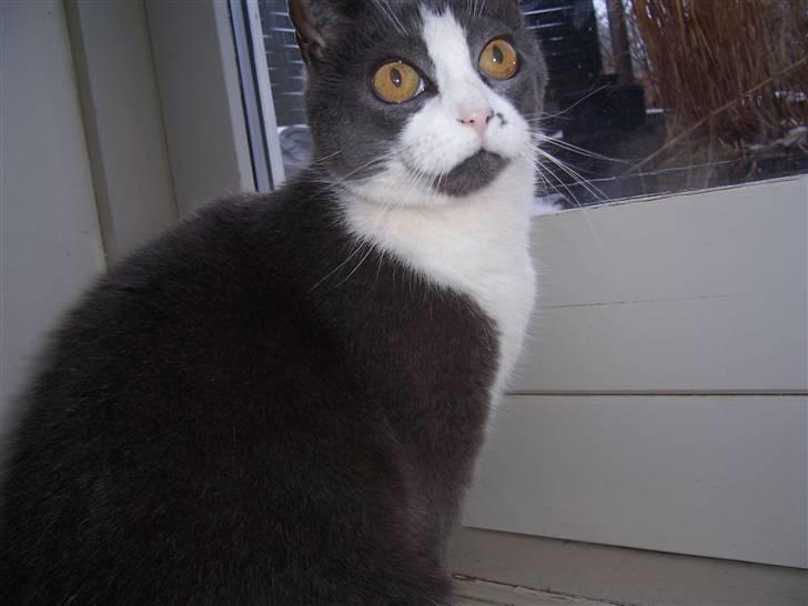 Huskat Søsser - er jeg ikk sød :i <3 billede 6