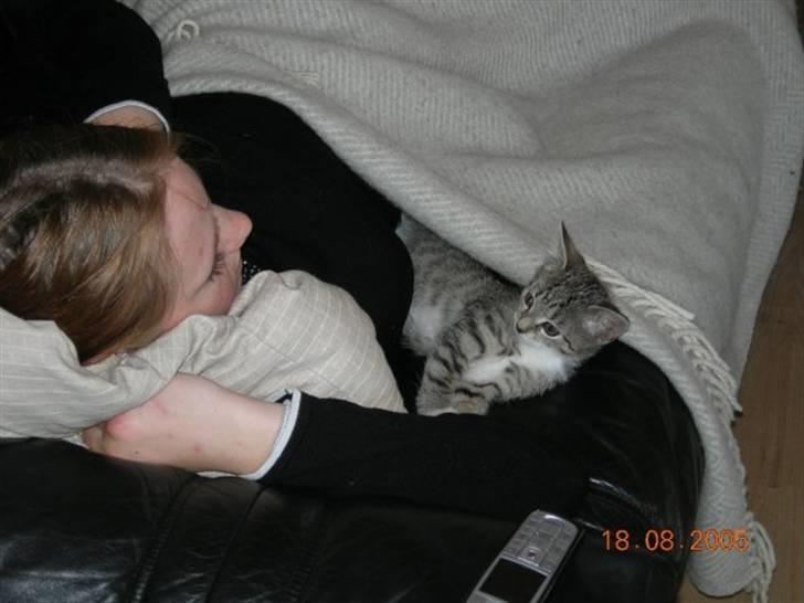 Huskat Freya R.I.P billede 5