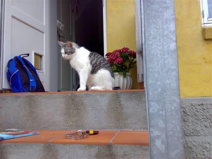 Huskat » Nina †6/05.08† <3 - Nina.. <3 billede 17