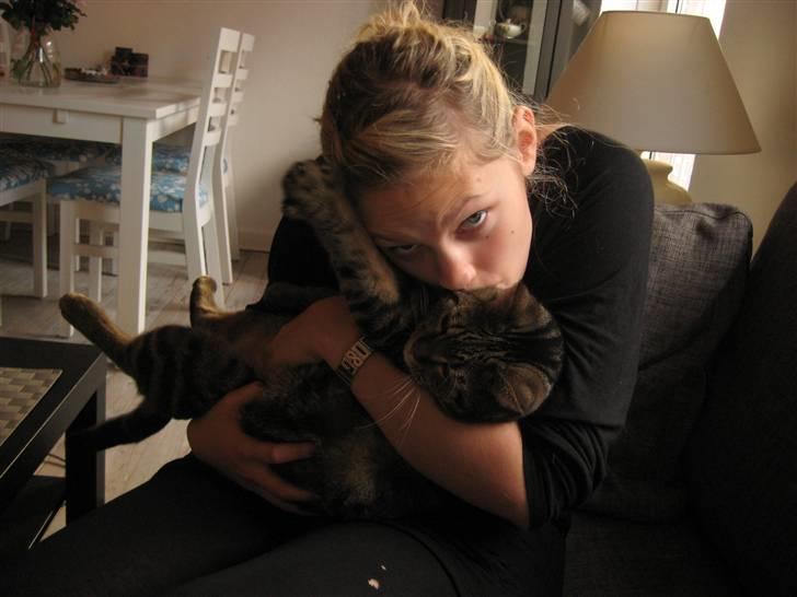 Blanding af racer Bølle billede 6