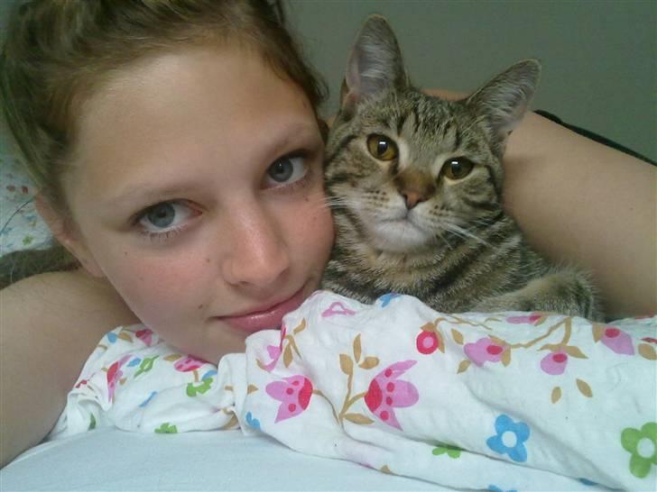 Blanding af racer Bølle - Elsker min mor! billede 11