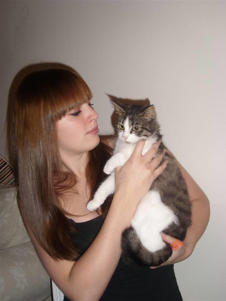 Blanding af racer Sille billede 2