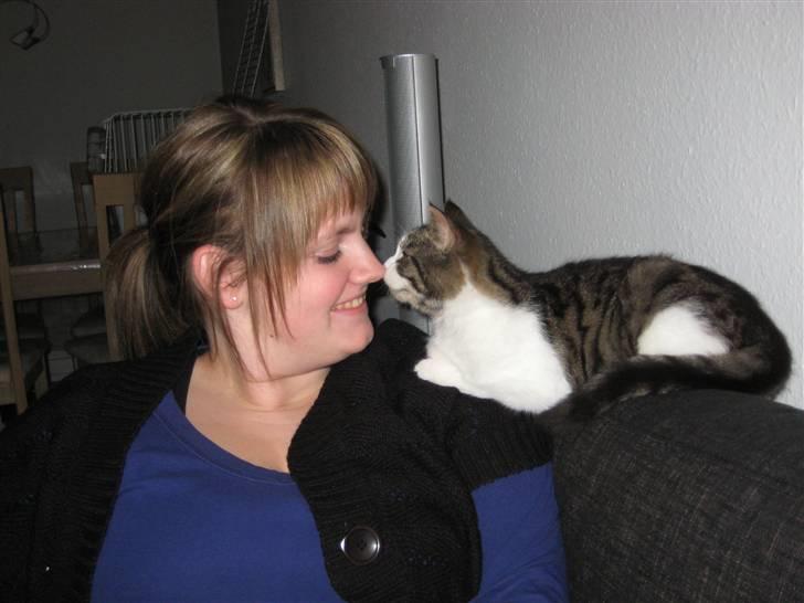 Blanding af racer Sille - Sille og min søster. Hendes elskede madmor. billede 7