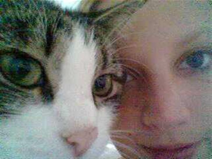 Blanding af racer Sille - Hygge :-) billede 13