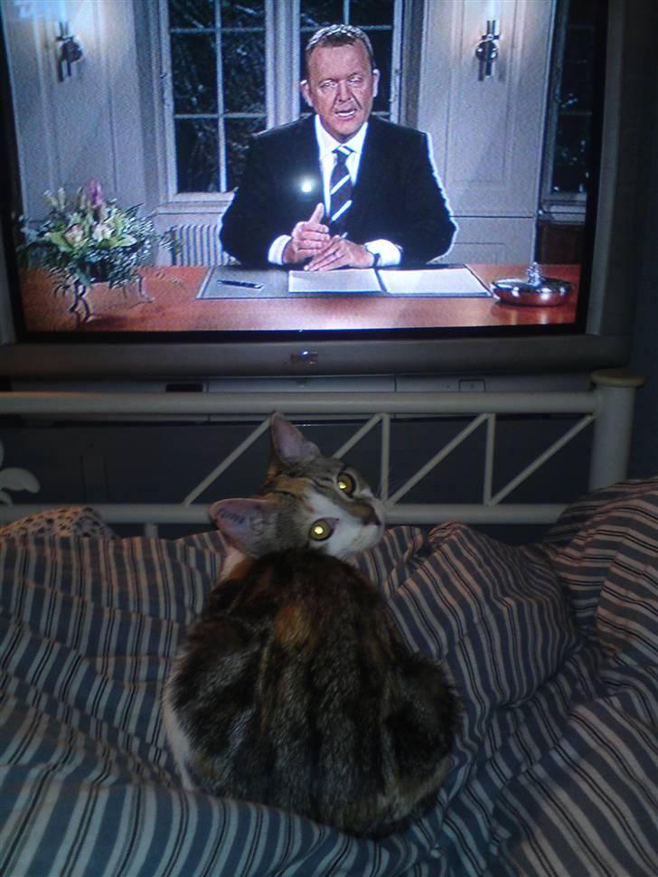 Huskat Mis - Jeg ser lige nytårs tale! billede 8