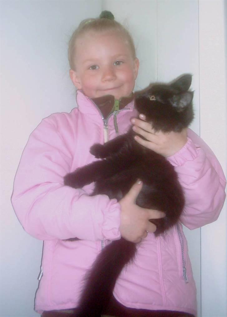 Blanding af racer Mariemis *solgt* billede 8