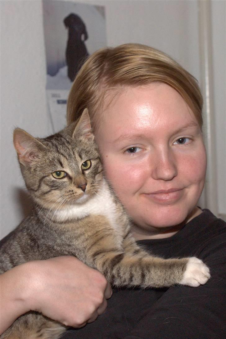 Blanding af racer Bjarne 2 billede 15