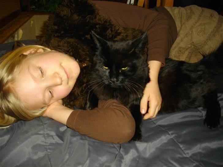 Blanding af racer Mariemis *solgt* billede 9