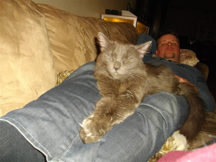 Blanding af racer Malou "Bloom" billede 10