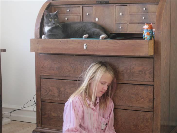 Huskat Cosmo<3 {SoulMate} MIN! |Colle-Drengen - hej velkommen til cosmos profil håber i kan lide ham billede 1