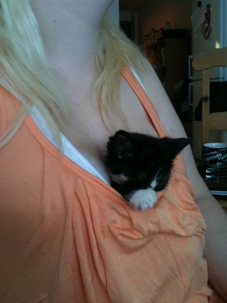 Huskat Tilde - Mmm varme :) billede 4