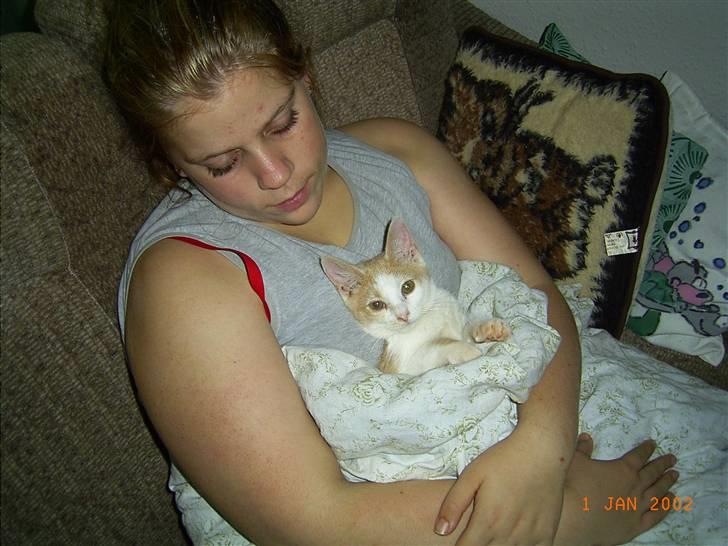 Huskat sara billede 13