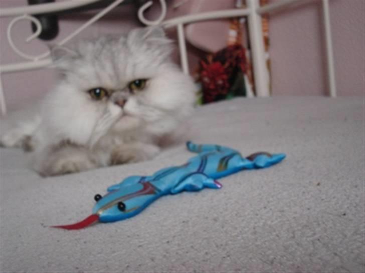 Perser silas  R.I.P billede 3