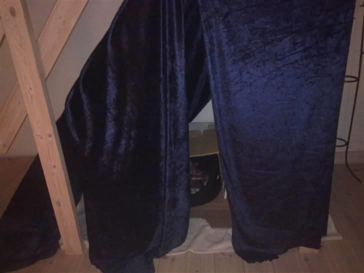 Bengal Kira - kira og killinger jeg har lavet den under trappen deres lille hule  billede 12