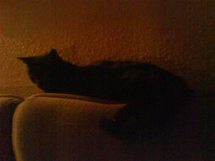 Blanding af racer My - sov godt min engel <3 billede 5