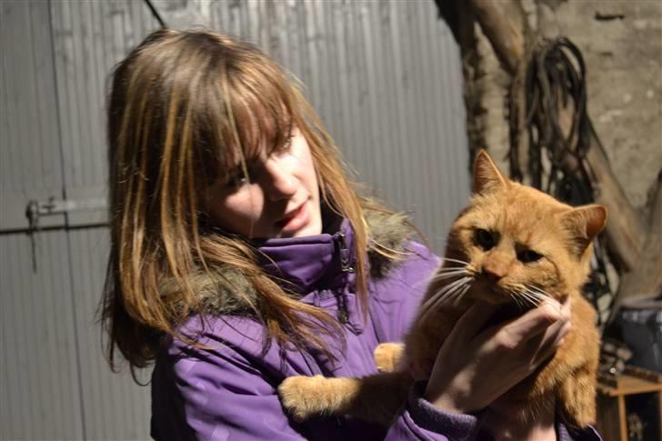 Huskat Garfield billede 3