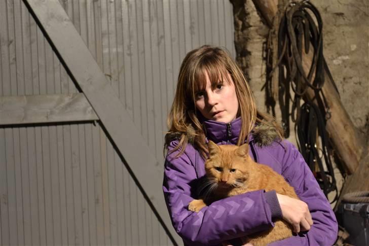 Huskat Garfield billede 4