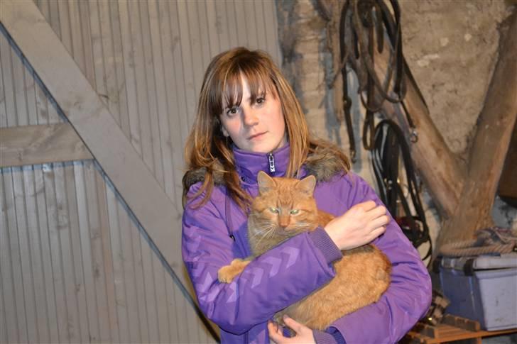 Huskat Garfield billede 5