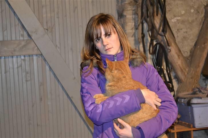 Huskat Garfield billede 6